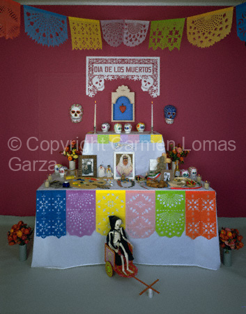 Ofrenda para Frida Kahlo / Offering to Frida Kahlo